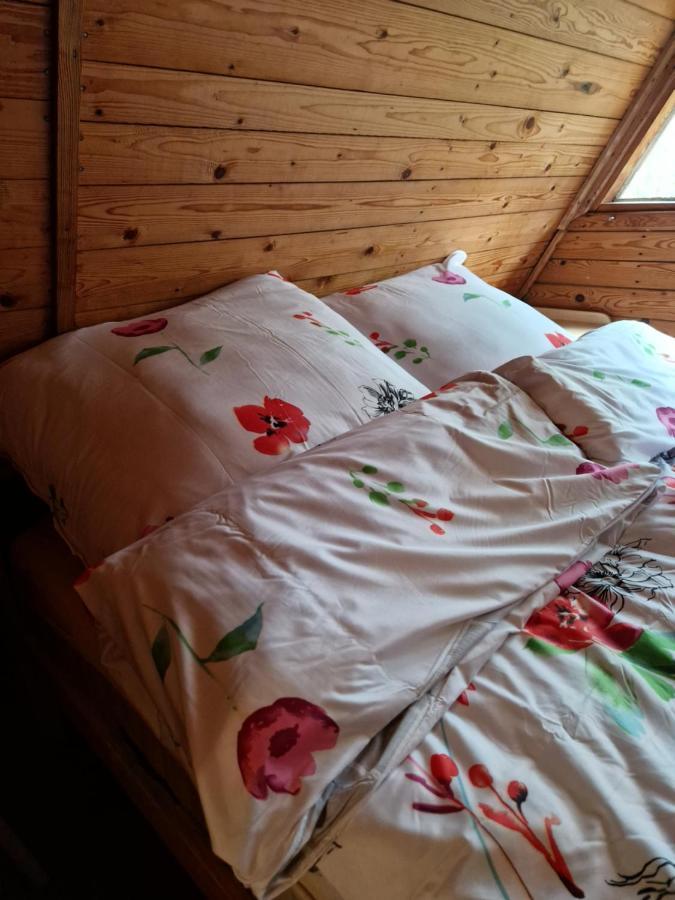 Lesna Chatka Wola Polska المظهر الخارجي الصورة